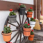 Haus Wald * Wald im Pinzgau
