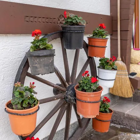 Haus Wald * Wald im Pinzgau