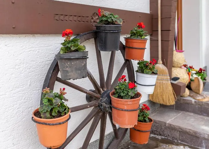 Haus Wald * Wald im Pinzgau